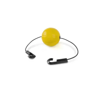 Basketball Shooting Target
