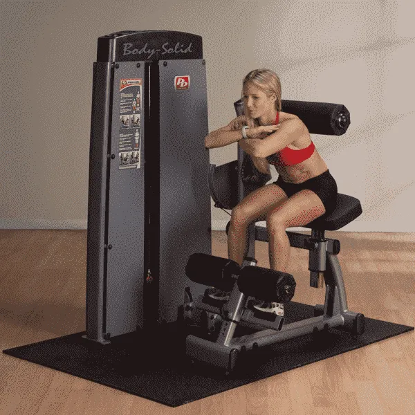 Body-Solid Pro Dual Ab and Back Machine (w/ Weight Stack)