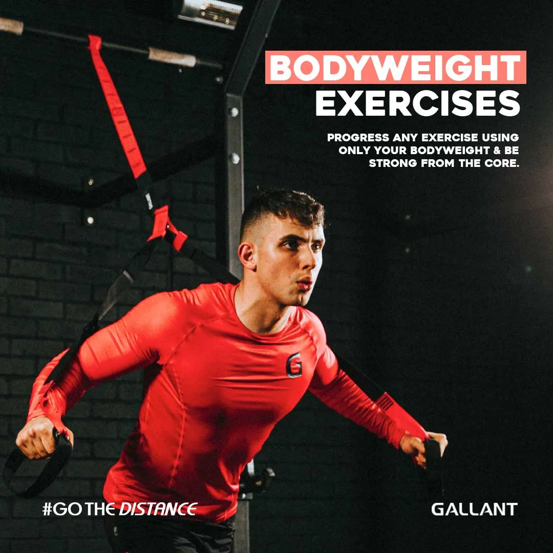 Fitness Suspension Trainer Kit - Suspension Training