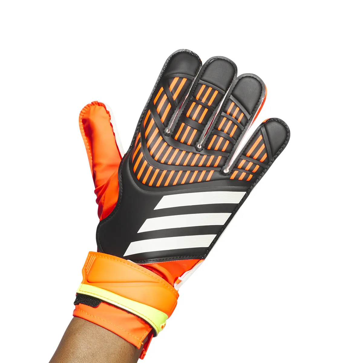 GANT PREDATOR TRN - Gants de gardiens de but pour hommes - Adidas