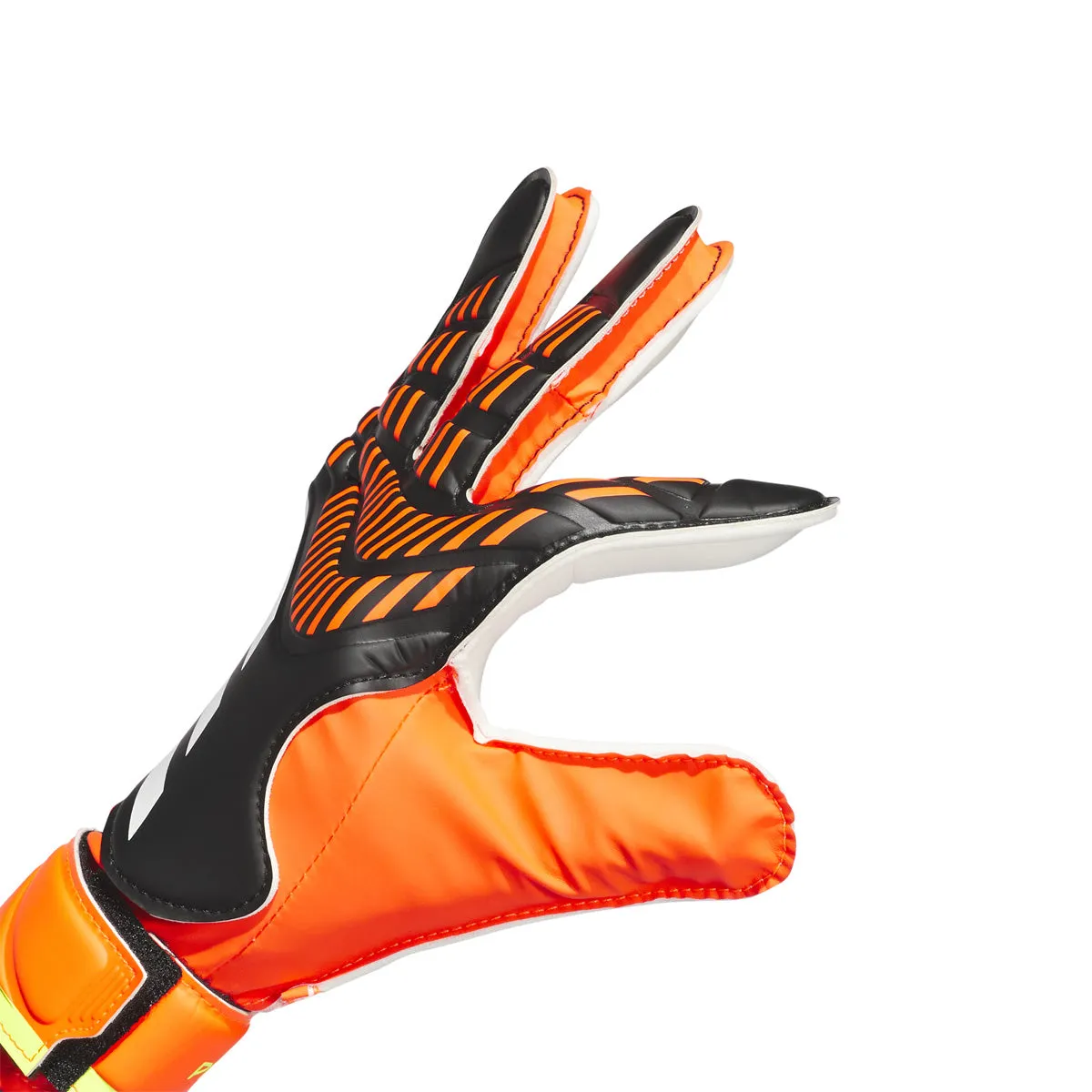 GANT PREDATOR TRN - Gants de gardiens de but pour hommes - Adidas