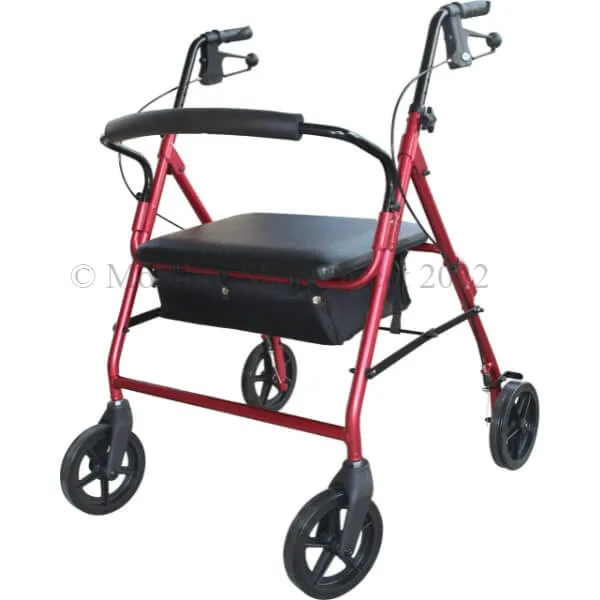 Heavy Duty Outdoor Bariatric Walker 200kg