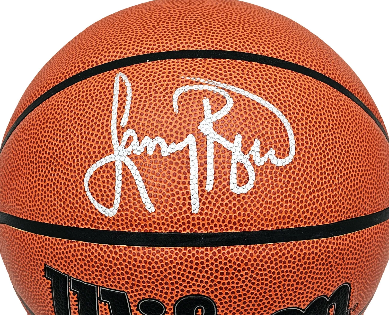 LARRY BIRD AUTOGRAPHED INDOOR/OUTDOOR WILSON NBA BASKETBALL CELTICS PSA/DNA