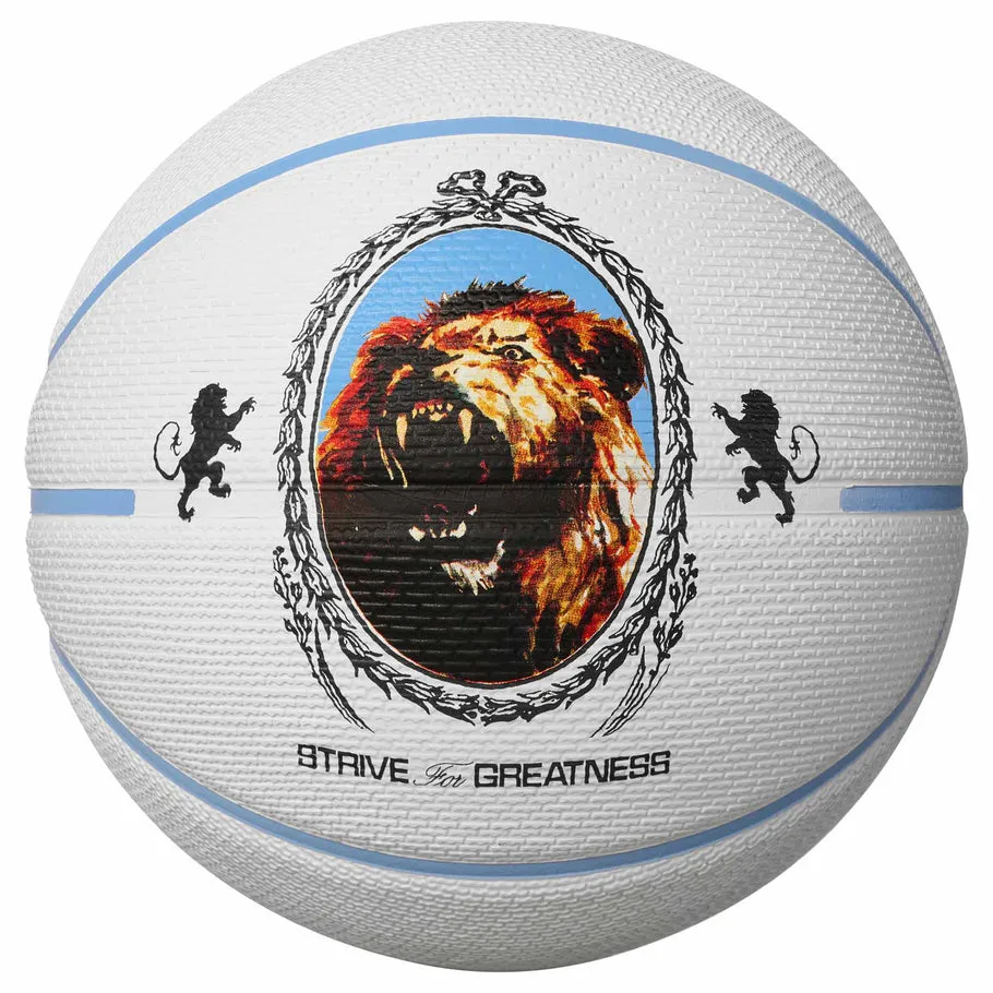 Playground 2.0 Lebron James Basketball