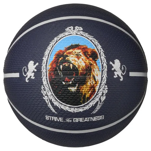 Playground 2.0 Lebron James Basketball