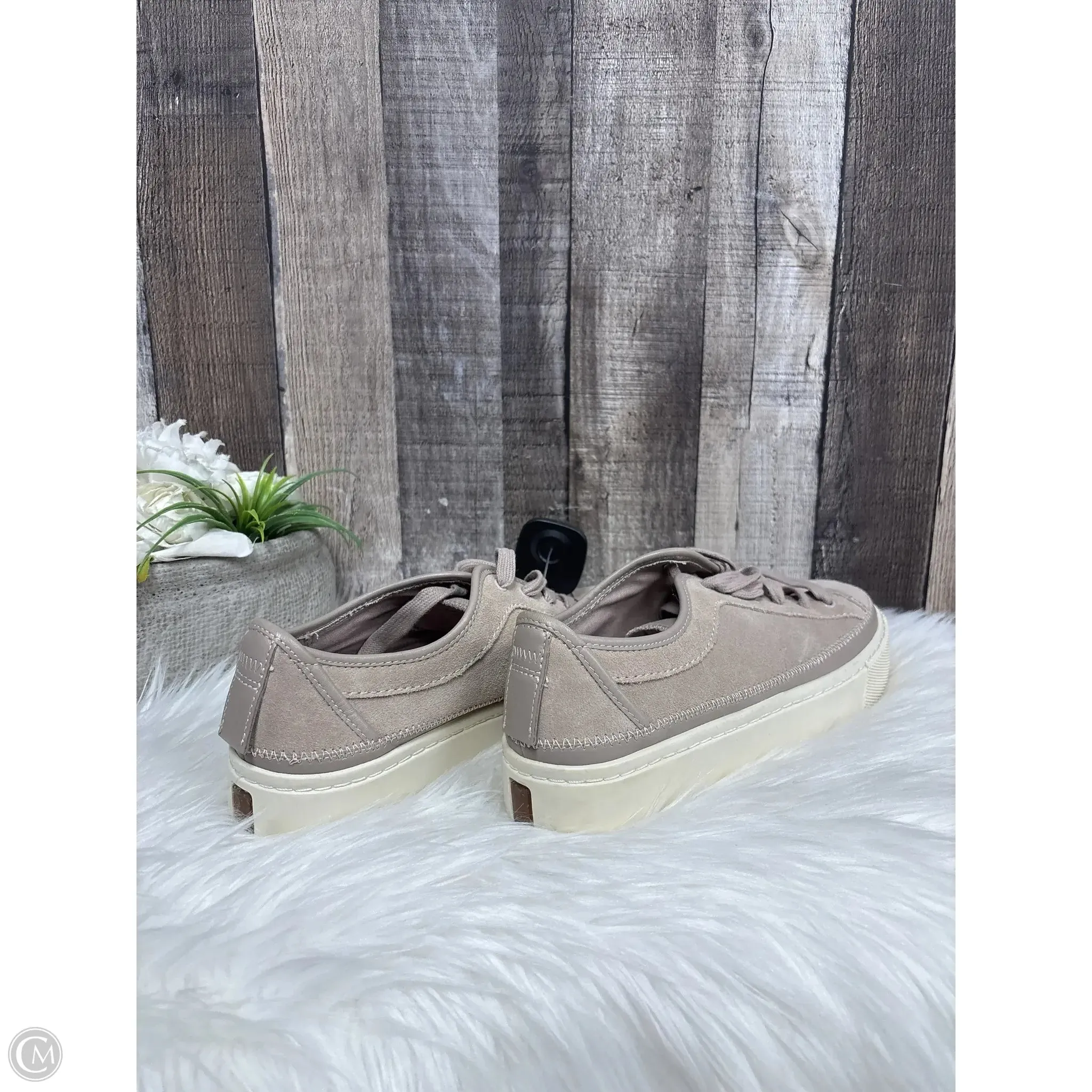 Shoes Designer By All Saints In Taupe, Size: 11