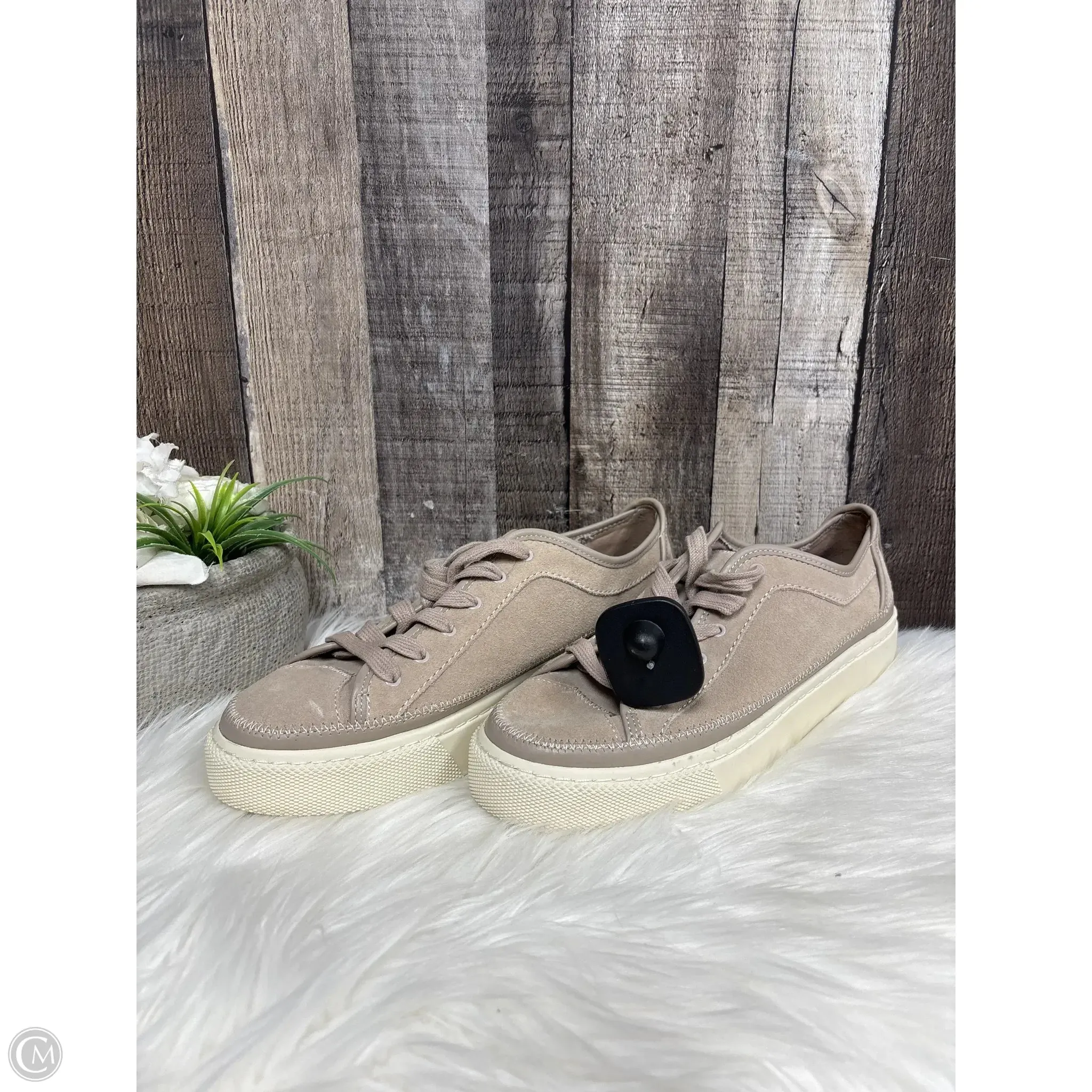 Shoes Designer By All Saints In Taupe, Size: 11