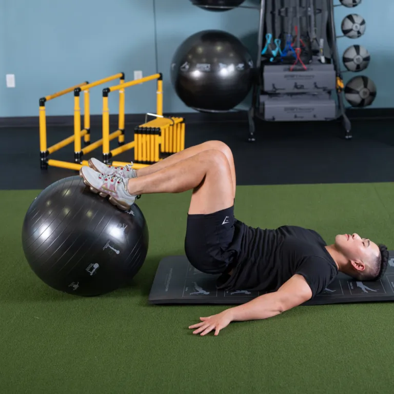 Studio Stability Balls
