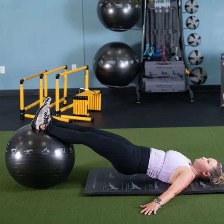 Studio Stability Balls
