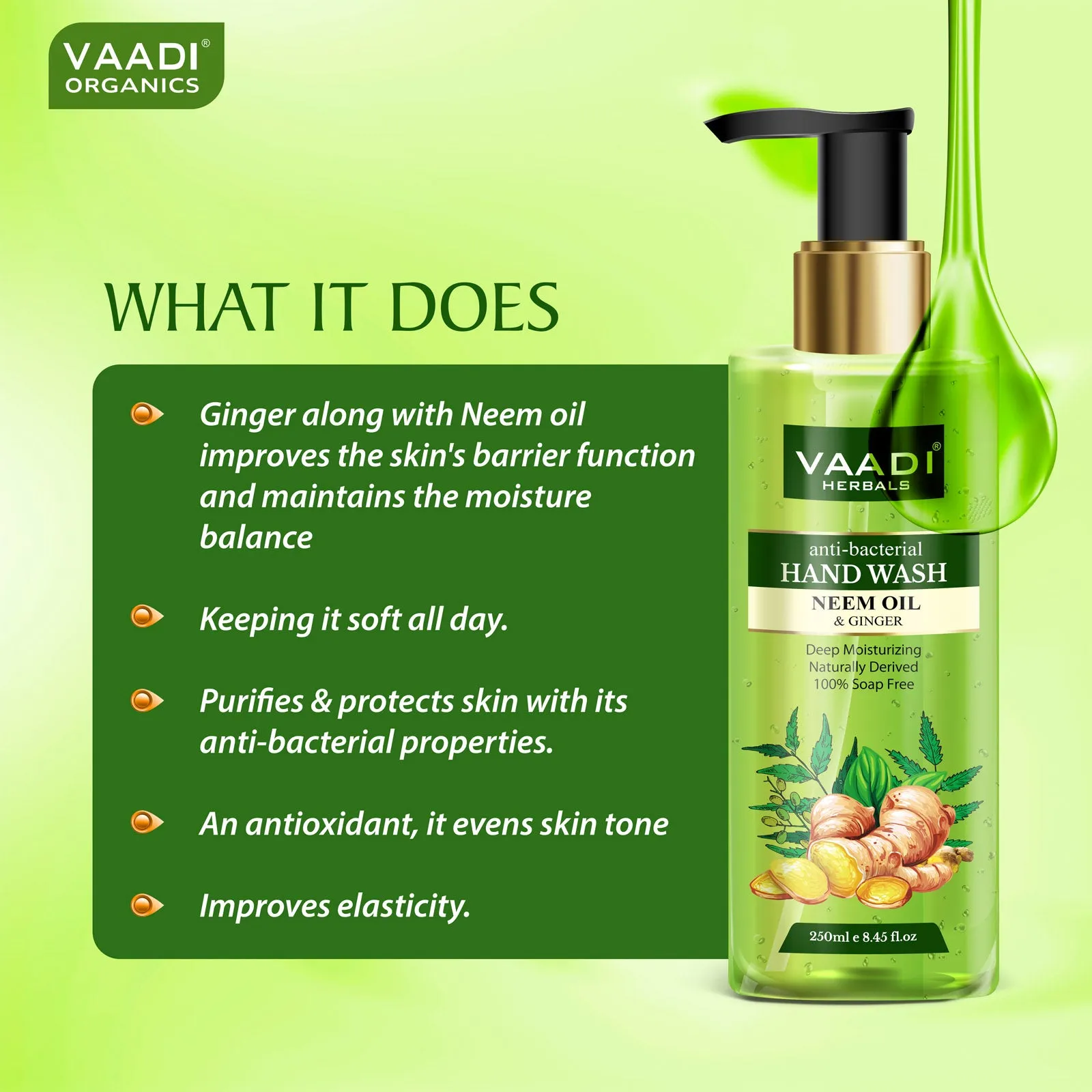 Ultra Nourishing - Pack of 2 Luxurious Handwash - Aloe Vera & Neem Oil - Pack of 2 (250 ml x 2)
