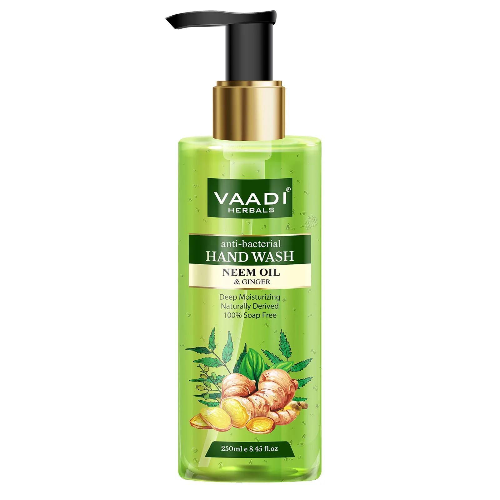 Ultra Nourishing - Pack of 2 Luxurious Handwash - Aloe Vera & Neem Oil - Pack of 2 (250 ml x 2)