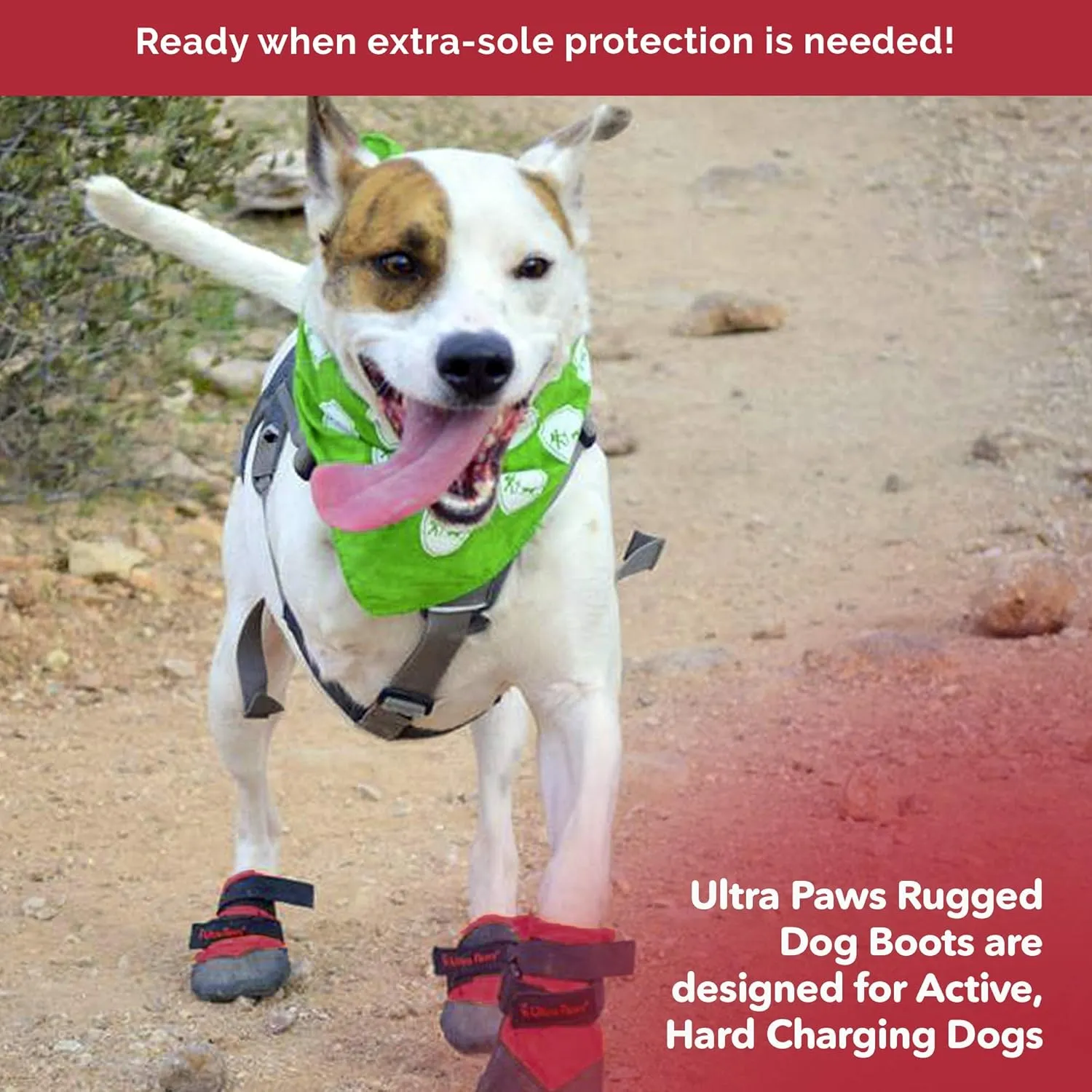 Ultra Paws Dog Boots (4boots) - Rugged Red