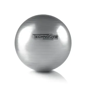 Wellness Ball Home